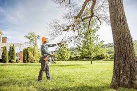 Reliable Scott City, KS Tree Removal and Landscaping Services Solutions